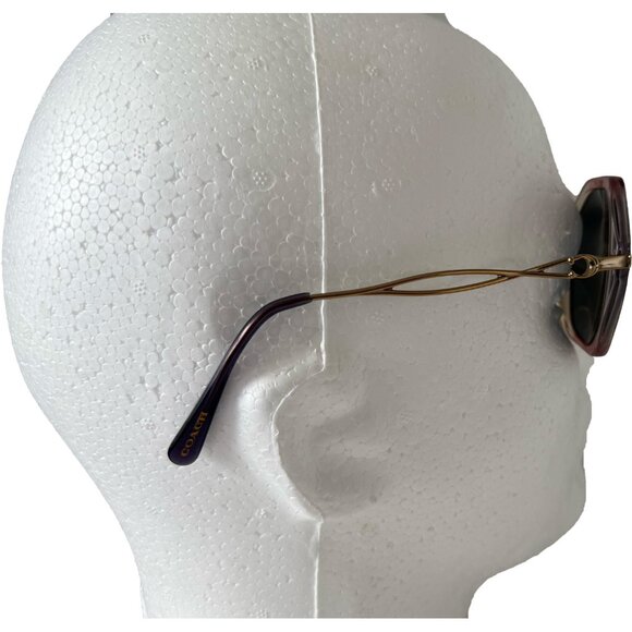 Coach HC8315 Sunglasses Frames 57-19-140 Rose Gold/Transparent Violet Geometric main image 10